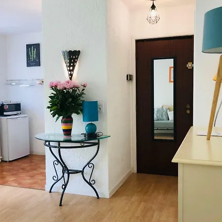 La Clementine Apartman Nizza